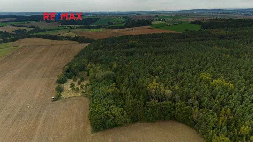 Prodej lesa, Všehrdy, 35057 m2