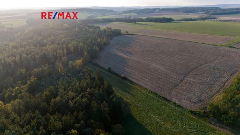 Prodej lesa, Všehrdy, 35057 m2