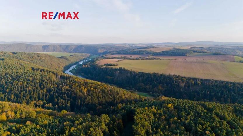 Prodej lesa, Všehrdy, 35057 m2