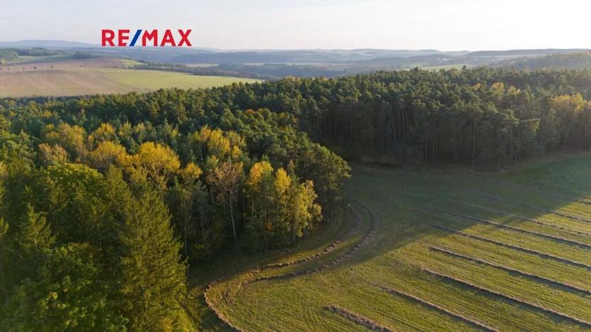 Prodej lesa, Všehrdy, 35057 m2