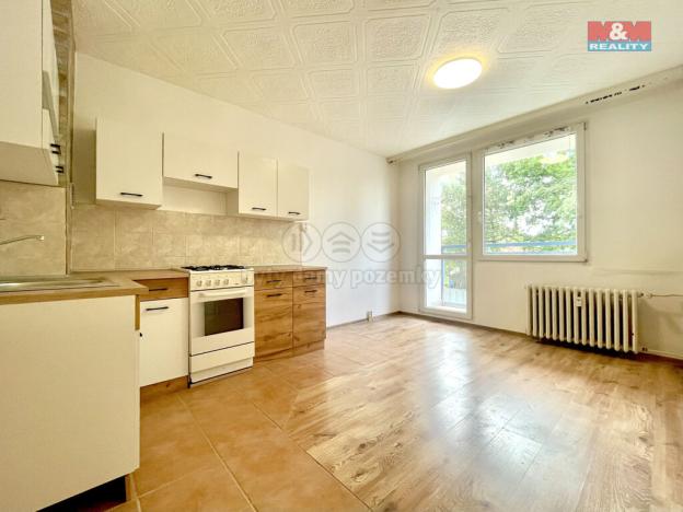 Prodej bytu 1+1, Duchcov, Vrchlického, 34 m2