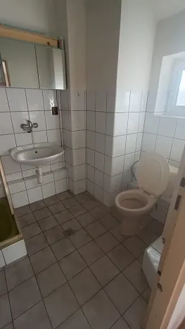 Prodej rodinného domu, Svojšín, 230 m2