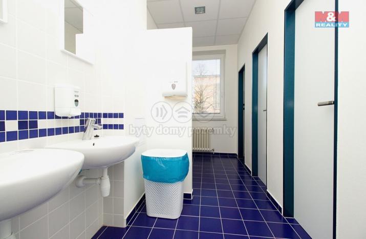 Pronájem kanceláře, Opava - Předměstí, Těšínská, 30 m2