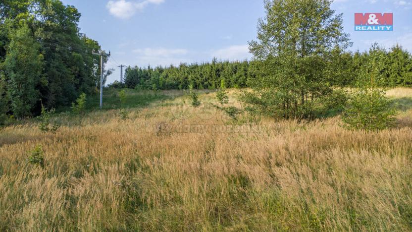 Prodej louky, Nový Bor - Janov, 5500 m2