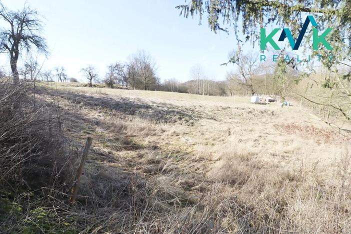 Prodej pozemku pro bydlení, Sadov, 1011 m2