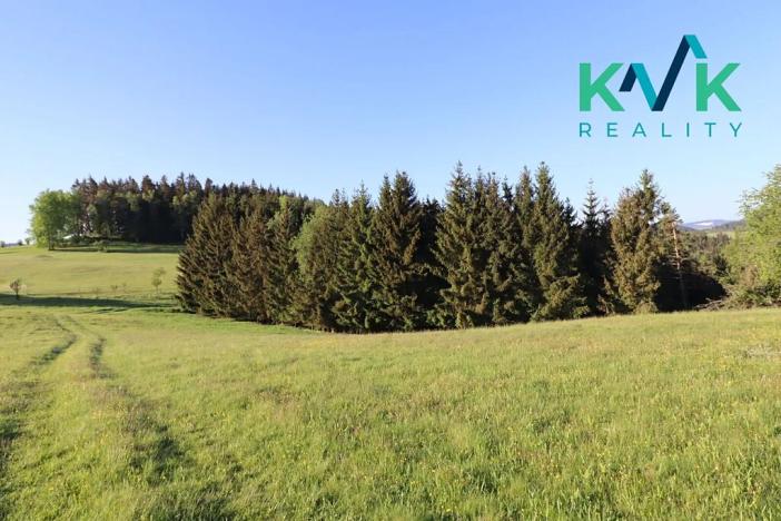 Prodej lesa, Kolová, 8922 m2