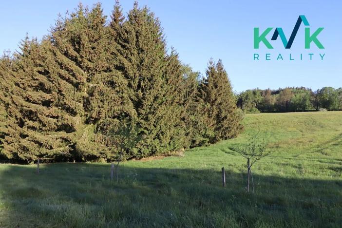 Prodej lesa, Kolová, 8922 m2