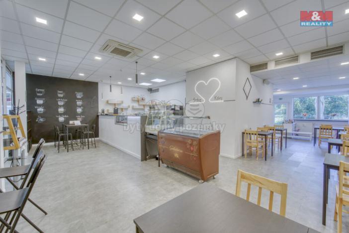 Pronájem obchodního prostoru, Třemošná, Plzeňská, 100 m2