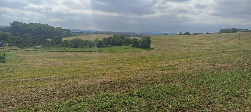 Prodej pozemku pro bydlení, Bohdalice-Pavlovice, 3936 m2