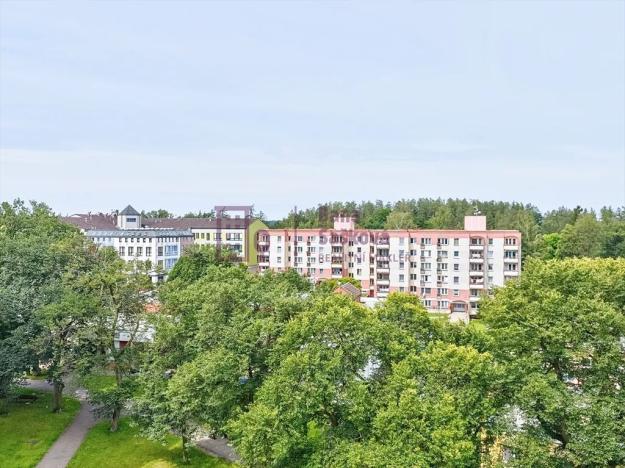 Pronájem bytu 1+kk, Jindřichův Hradec, Kosmonautů, 29 m2