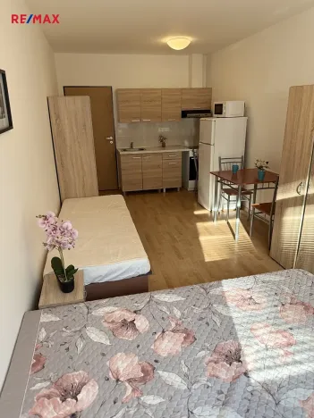 Pronájem bytu 1+kk, Plzeň, Nepomucká, 26 m2
