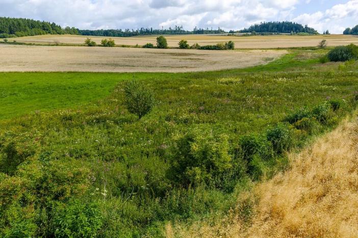 Prodej rybníku, Želetava, 5179 m2