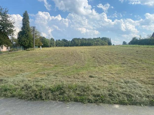 Prodej pozemku pro bydlení, Dolní Domaslavice, 1278 m2