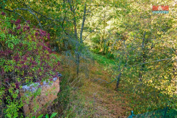 Prodej pozemku pro bydlení, Plasy, 685 m2