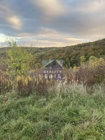 Prodej lesa, Ždánice, 3224 m2