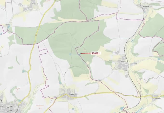 Dražba lesa, Milavče, 1537 m2