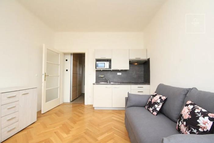 Pronájem bytu 1+kk, Praha - Vinohrady, Chopinova, 22 m2