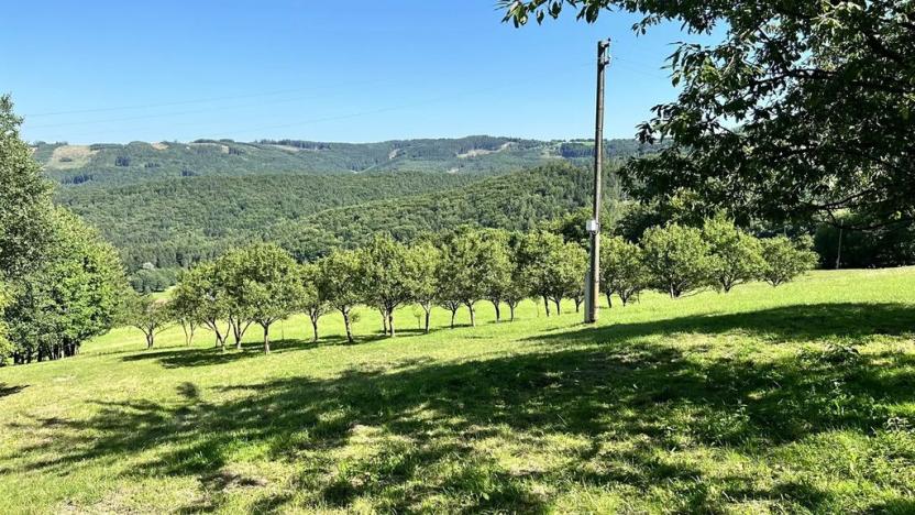 Prodej pozemku pro bydlení, Vyškovec, 5950 m2