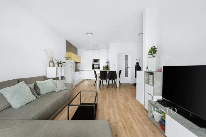 Pronájem bytu 2+kk, Brno, Řípská, 59 m2