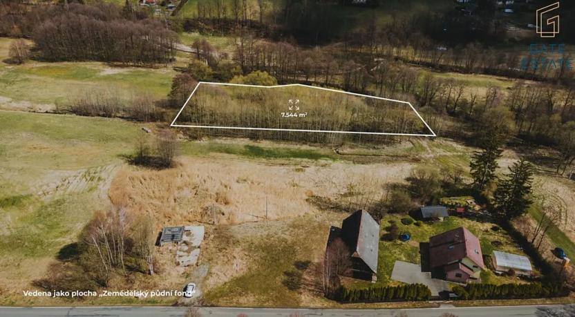 Prodej pole, Dolní Morava, 6487 m2