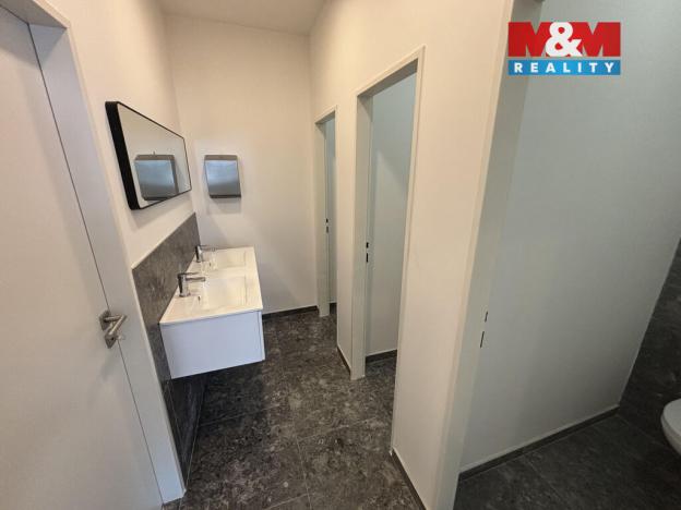 Pronájem obchodního prostoru, Ostrava - Přívoz, Trocnovská, 240 m2