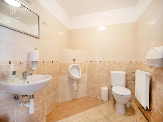 Prodej kanceláře, Mladá Boleslav, Ptácká, 305 m2