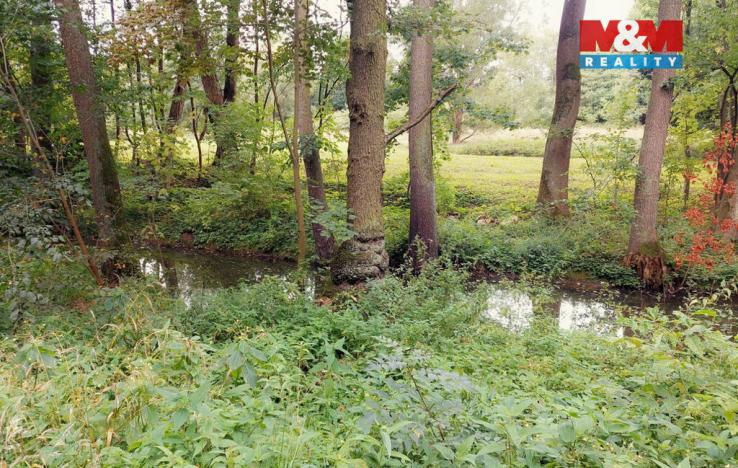 Prodej louky, Bystřice, 1741 m2