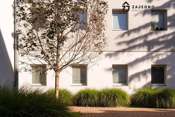 Pronájem bytu 1+kk, Brno, Cejl, 24 m2