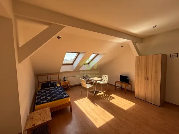 Pronájem bytu 1+kk, Plzeň, Lindauerova, 26 m2