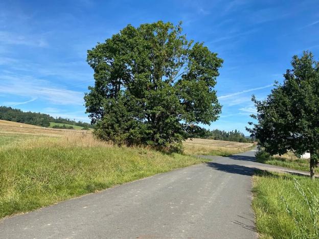 Prodej pozemku pro bydlení, Lnáře, 5991 m2