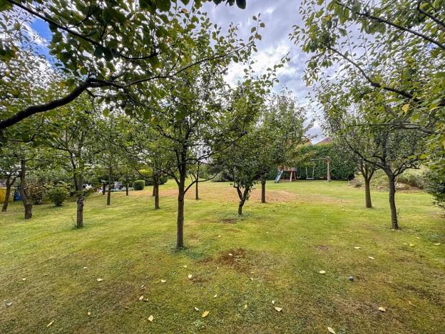 Prodej pozemku pro bydlení, Horní Cerekev, 2340 m2