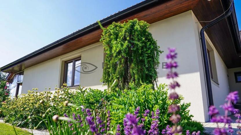 Prodej rodinného domu, Borovany, 237 m2