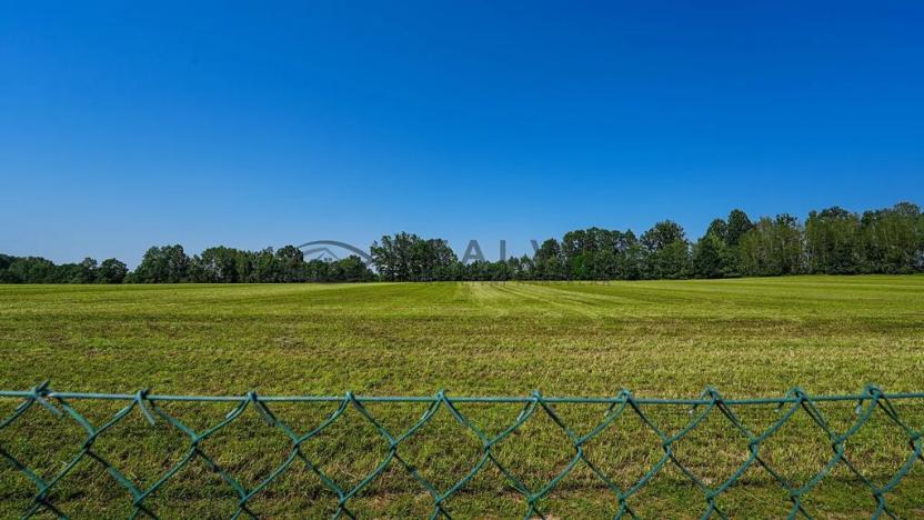 Prodej rodinného domu, Borovany, 237 m2