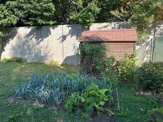 Pronájem rodinného domu, Pardubice, 85 m2