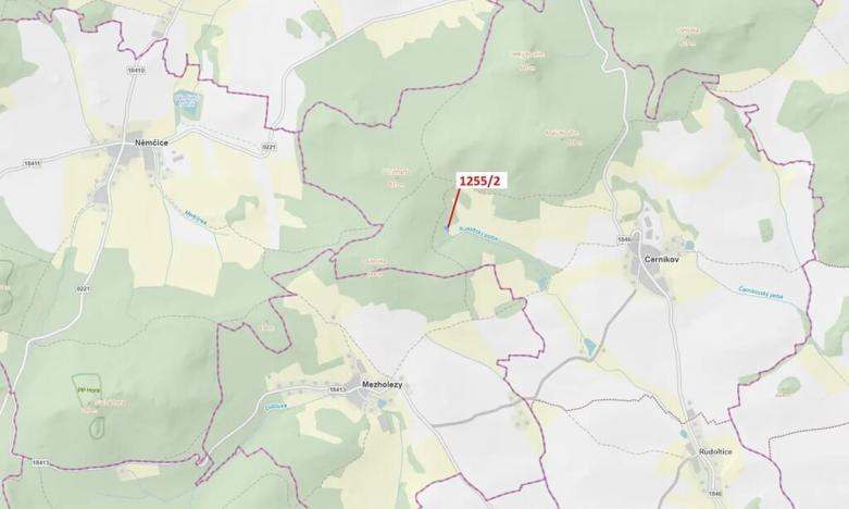 Dražba lesa, Černíkov, 903 m2