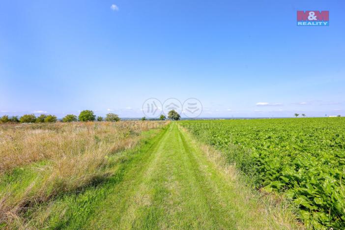 Prodej pozemku pro bydlení, Stará Ves, 1343 m2