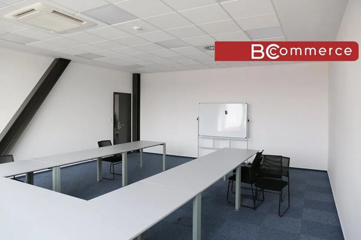 Pronájem kanceláře, Brno, 351 m2