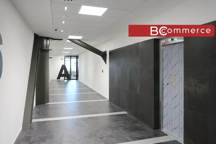 Pronájem kanceláře, Brno, 351 m2
