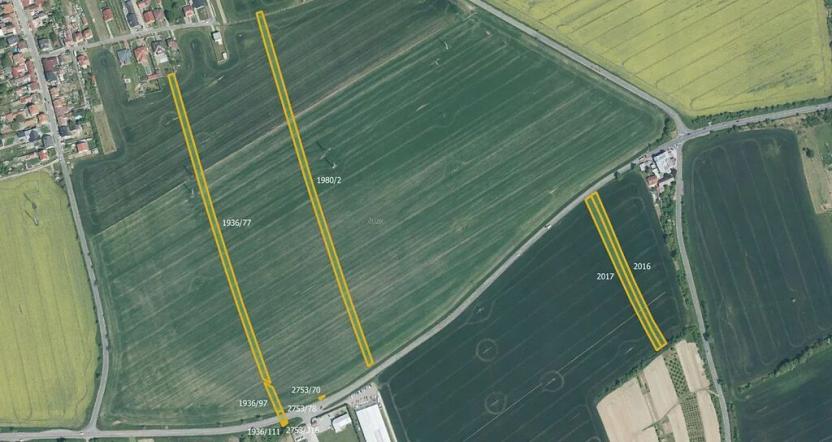 Prodej pole, Kněžpole, 25498 m2