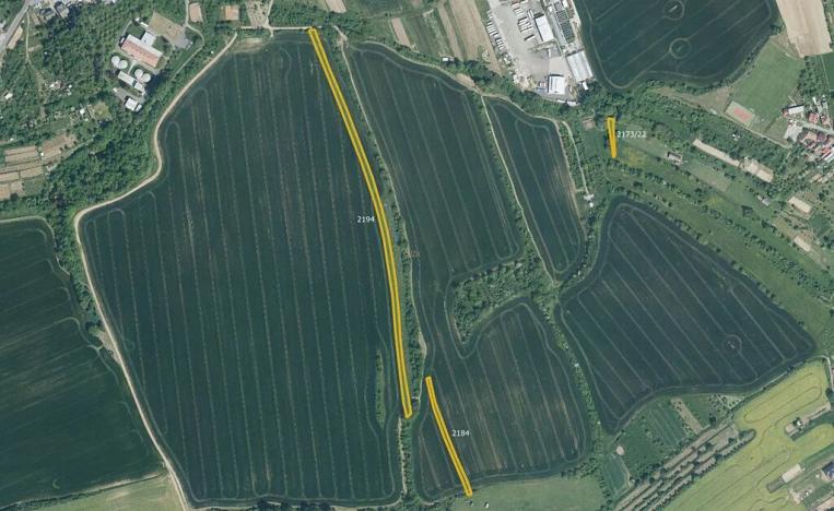 Prodej pole, Kněžpole, 25498 m2