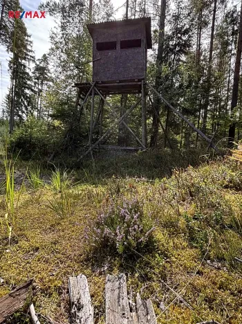 Prodej pozemku pro bydlení, Suchdol nad Lužnicí, 1001 m2