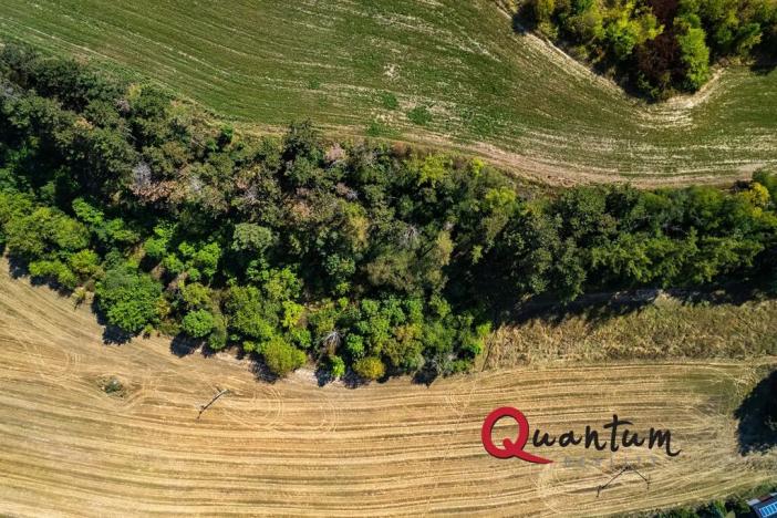 Prodej pozemku pro bydlení, Brandýsek, Nad Kovárnou, 16339 m2