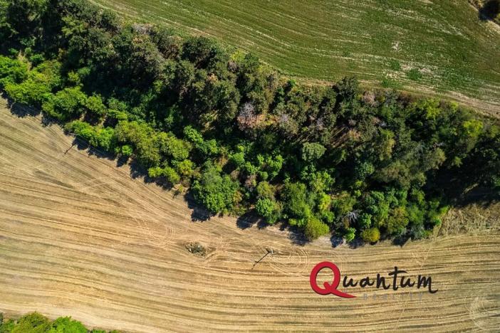 Prodej pozemku pro bydlení, Brandýsek, Nad Kovárnou, 16339 m2