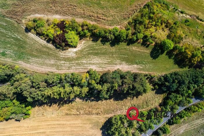 Prodej pozemku pro bydlení, Brandýsek, Nad Kovárnou, 16339 m2