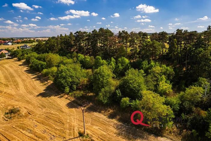 Prodej pozemku pro bydlení, Brandýsek, Nad Kovárnou, 16339 m2