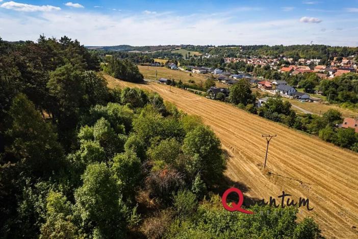 Prodej pozemku pro bydlení, Brandýsek, Nad Kovárnou, 16339 m2