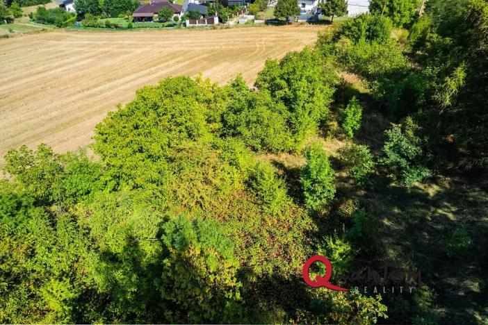 Prodej pozemku pro bydlení, Brandýsek, Nad Kovárnou, 16339 m2