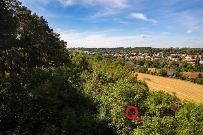 Prodej pozemku pro bydlení, Brandýsek, Nad Kovárnou, 16339 m2