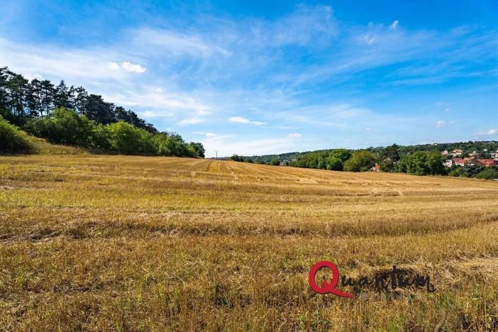 Prodej pozemku pro bydlení, Brandýsek, Nad Kovárnou, 16339 m2