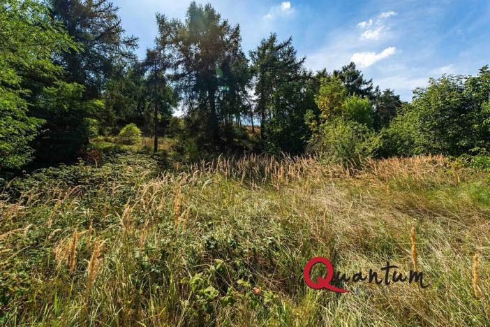 Prodej pozemku pro bydlení, Brandýsek, Nad Kovárnou, 16339 m2